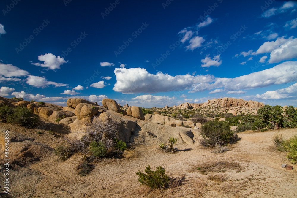 Desert landscape in Joshua Tree National Park, CA