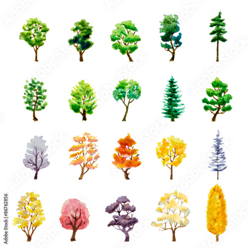 set of trees on white. watercolor vector illustration