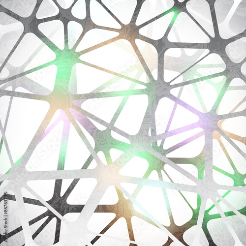 neuron cells structure