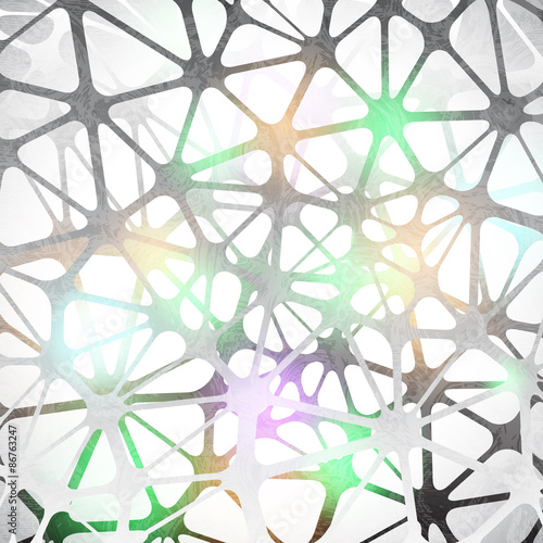 neuron cells structure