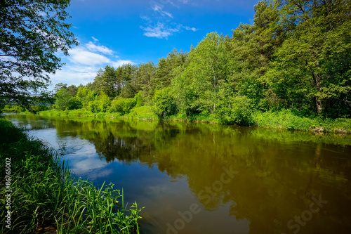 River in the forest landscape