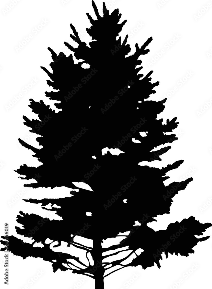 fir tree isolated black silhouette illustration fir tree isolated black silhouette illustration