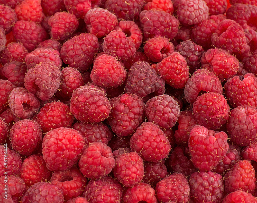 Ripe raspberry like a backgrounds Ripe raspberry like a backgrounds