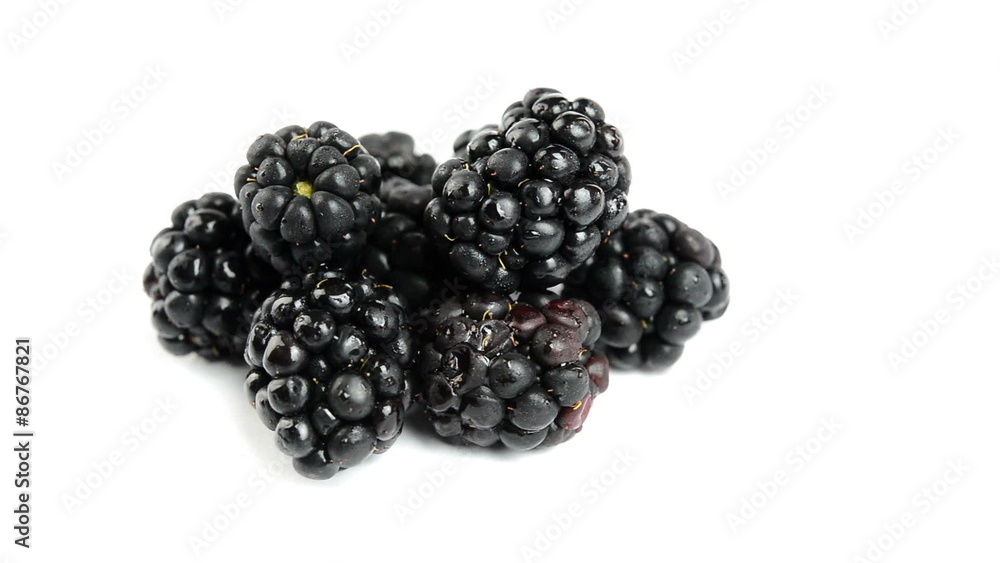 wild berries isolated on white background wild berries isolated on white background