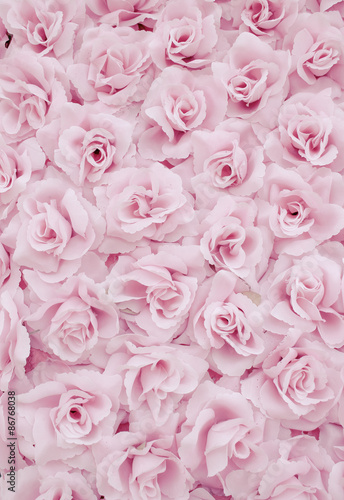 frabric rose