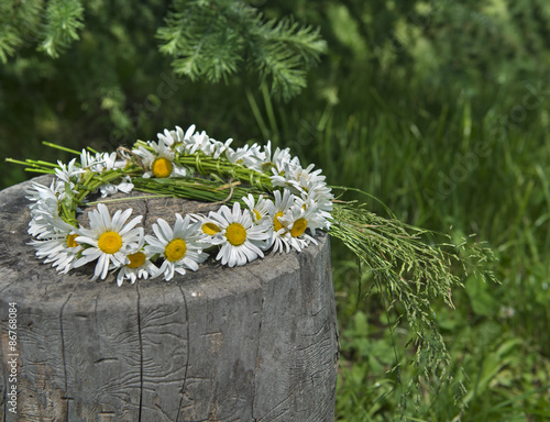 Fototapeta Naklejka Na Ścianę i Meble -  Summer still life with wreath of daisy flowers