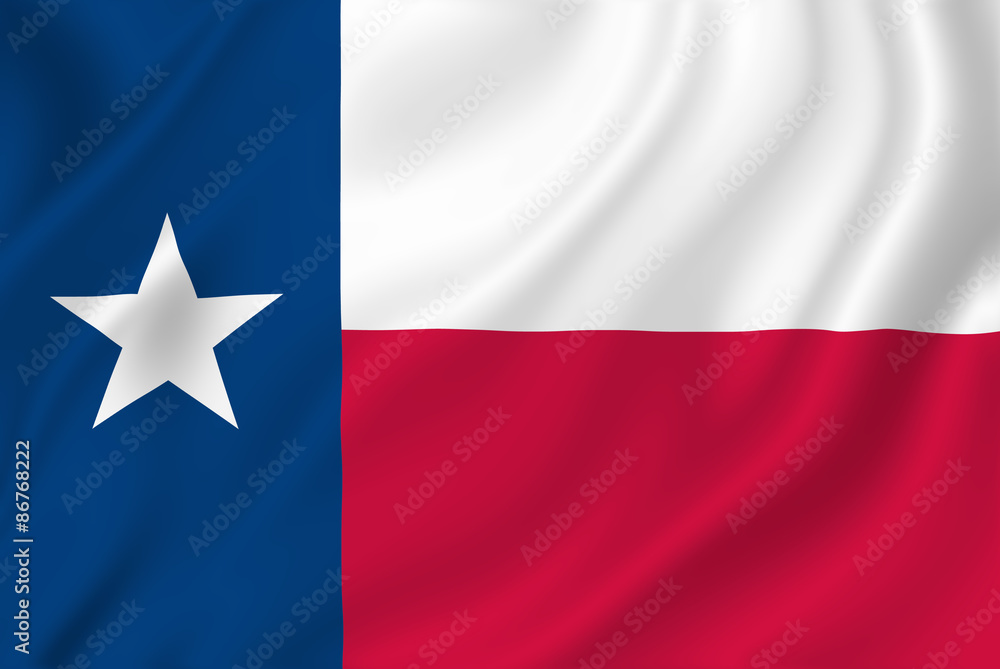 Texas Flag Texas Flag