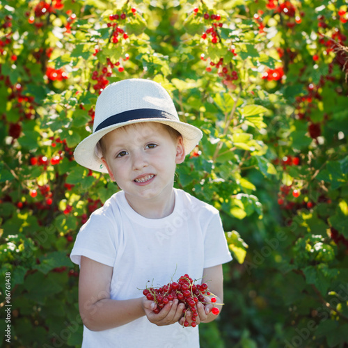 Happy little boy holding a red currant  in a garden