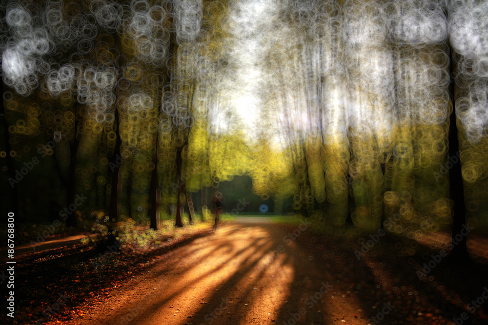 blurred background autumn forest with yellow leaves