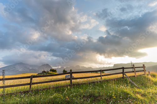 Wooden fence