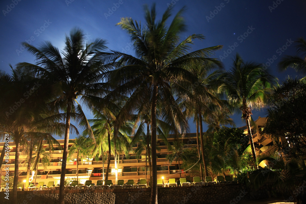 Fototapeta premium tropical palms