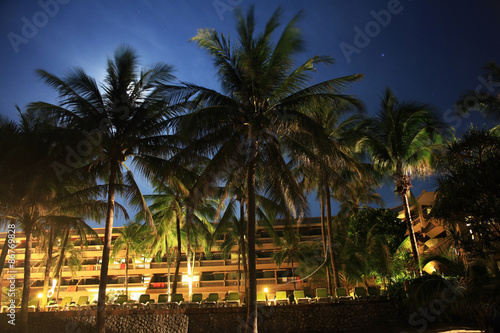 tropical palms © kichigin19