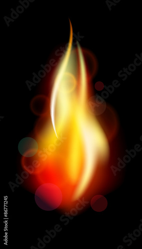 Fire. Vector flame 