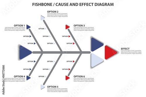 Cause and Effect / Fishbone Diagram - Vector Infographic photo