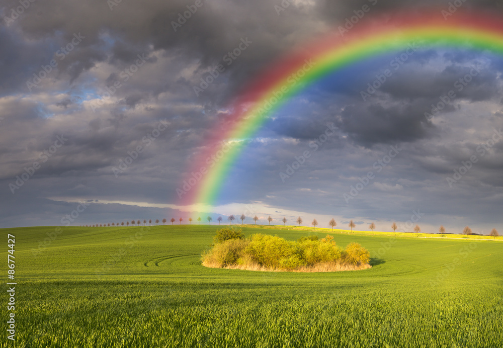 Spring colorful rainbow over the field Spring colorful rainbow over the field
