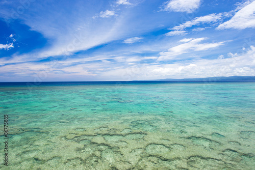 沖縄の海