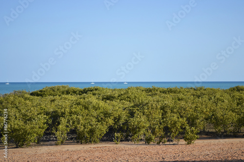 Australia mare Broome photo