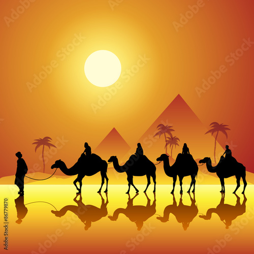 Camels caravan