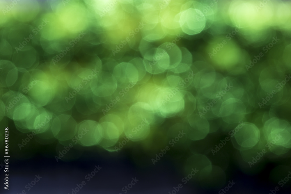 green Bokeh blurry background.