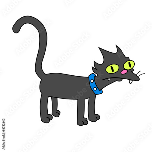 black cat