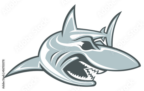 Shark Vector