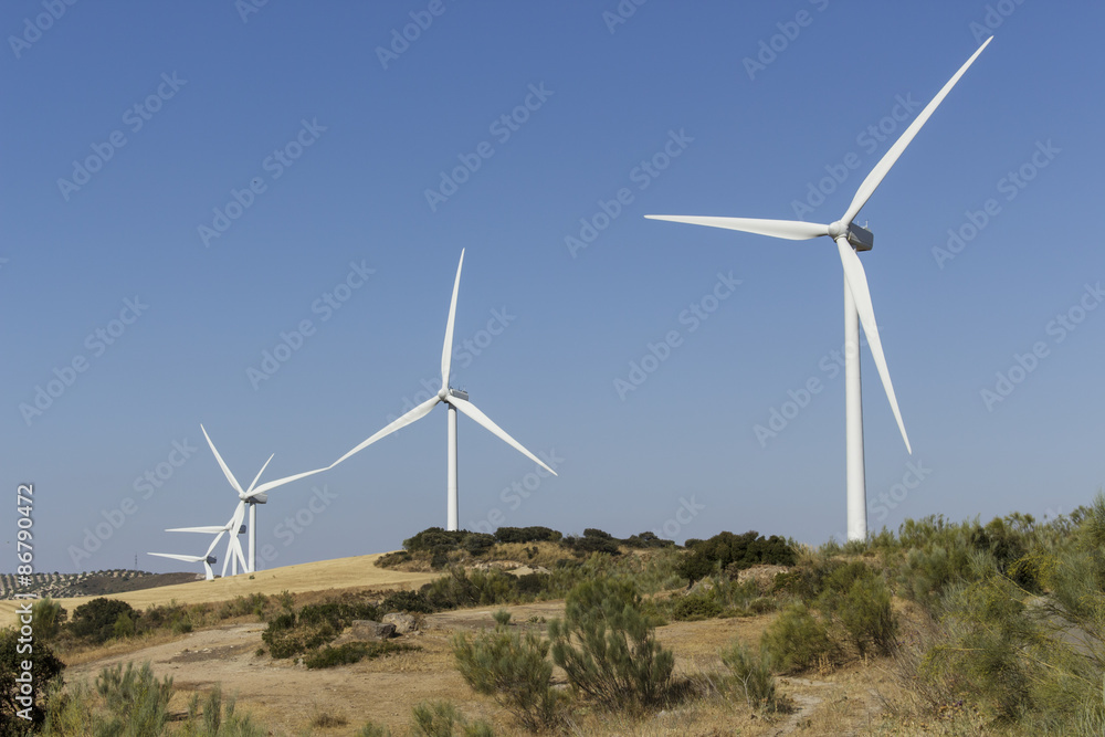 Windmills in a Mediterranean shrubland ecosystem Windmills in a Mediterranean shrubland ecosystem