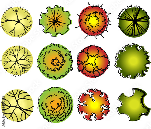 A set of treetop symbols, for architectural or landscape design
