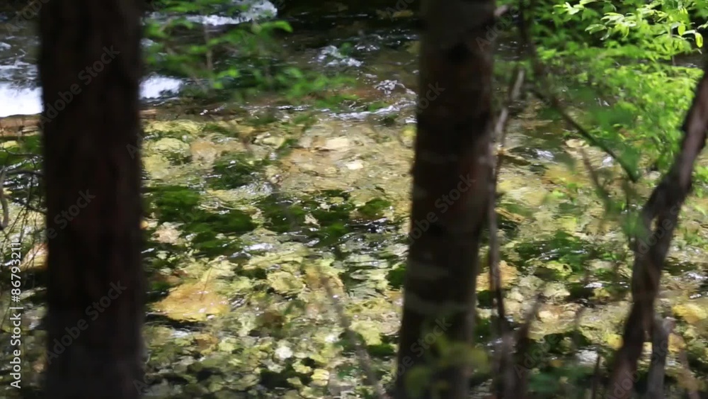 beautiful clear stream at jiuzhaigou valley national park in china beautiful clear stream at jiuzhaigou valley national park in china