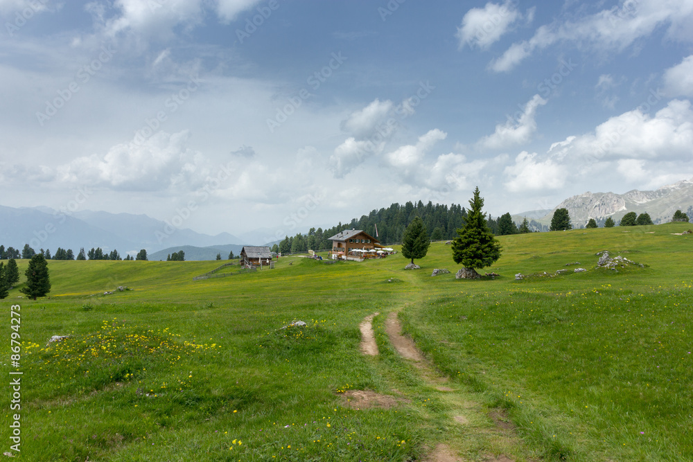 Obraz premium Mountain track