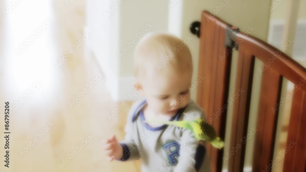 a toddler playing with a bird in his home a toddler playing with a bird in his home