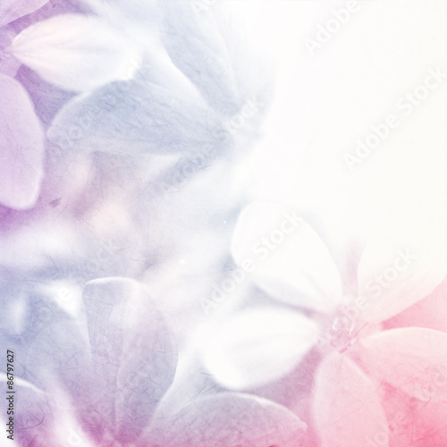 sweet color flowers in soft and blur style on mulberry paper texture 