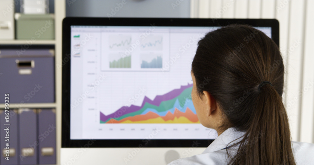 Mexican businesswoman analyzing charts on computer Mexican businesswoman analyzing charts on computer