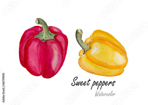 Sweet pepper yellow and red. Hand drawn watercolor painting on white background.Vector illustration