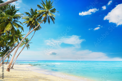 Fototapeta Naklejka Na Ścianę i Meble -  Beach side Sri Lanka with coconut trees