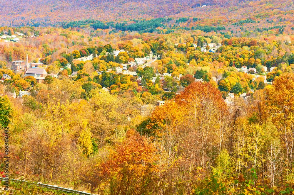 Fototapeta premium Autumn scene