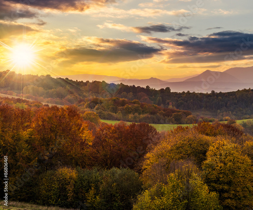 autumn forest on a mountain hill at sunset