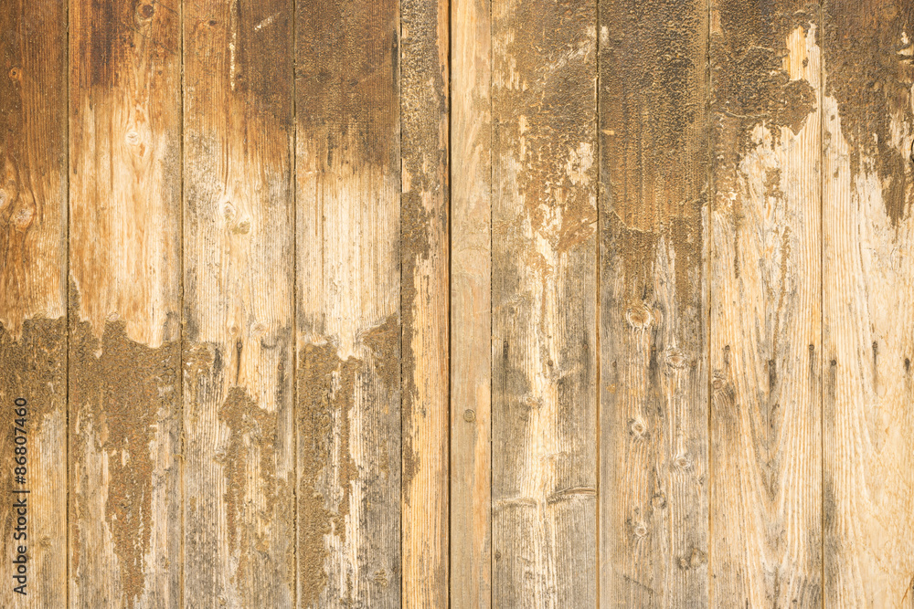 Obraz premium Holz Textur verwittert