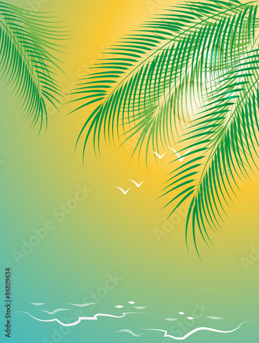Surf on a sandy beach, seagulls and a branch of palm trees