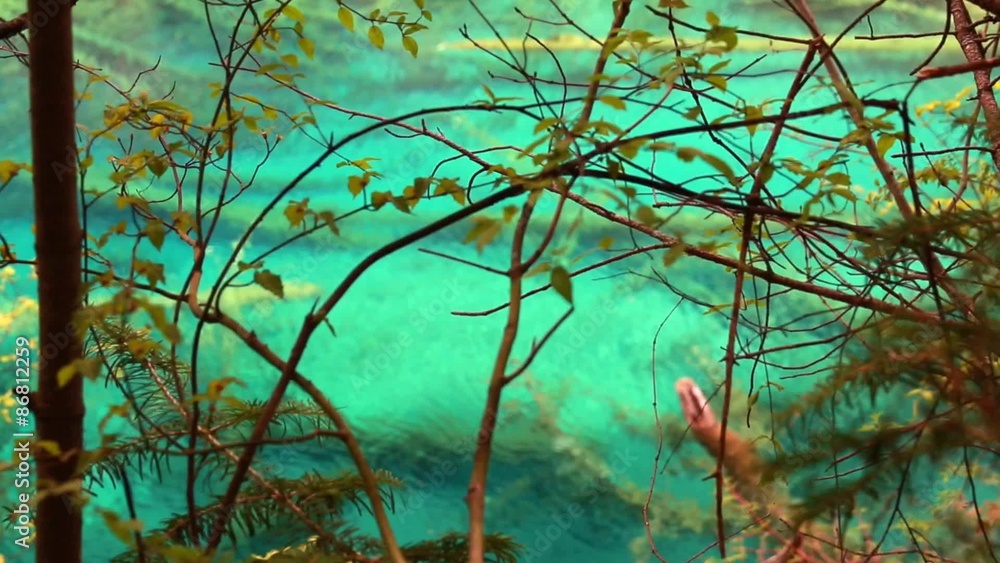 a clear blue water lake in jiuzhaigou valley national park in china dolly sho a clear blue water lake in jiuzhaigou valley national park in china dolly sho