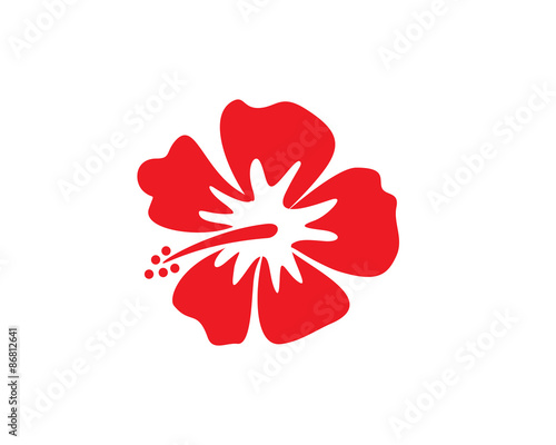 Hawaii Flower