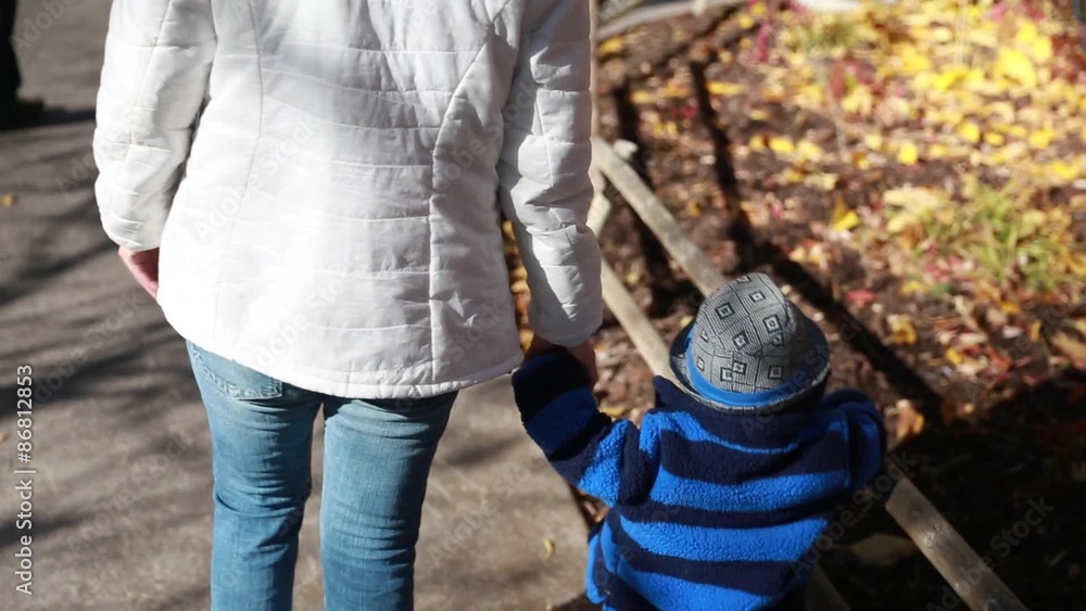 mother and toddler walking through the zoo mother and toddler walking through the zoo