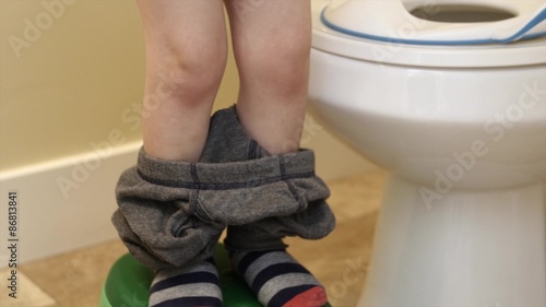 potty training a toddler