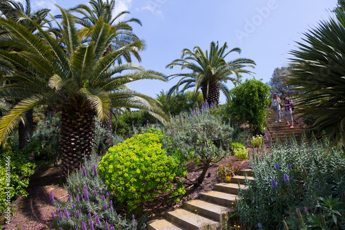 Botanical garden of Barcelona in spring  Spain