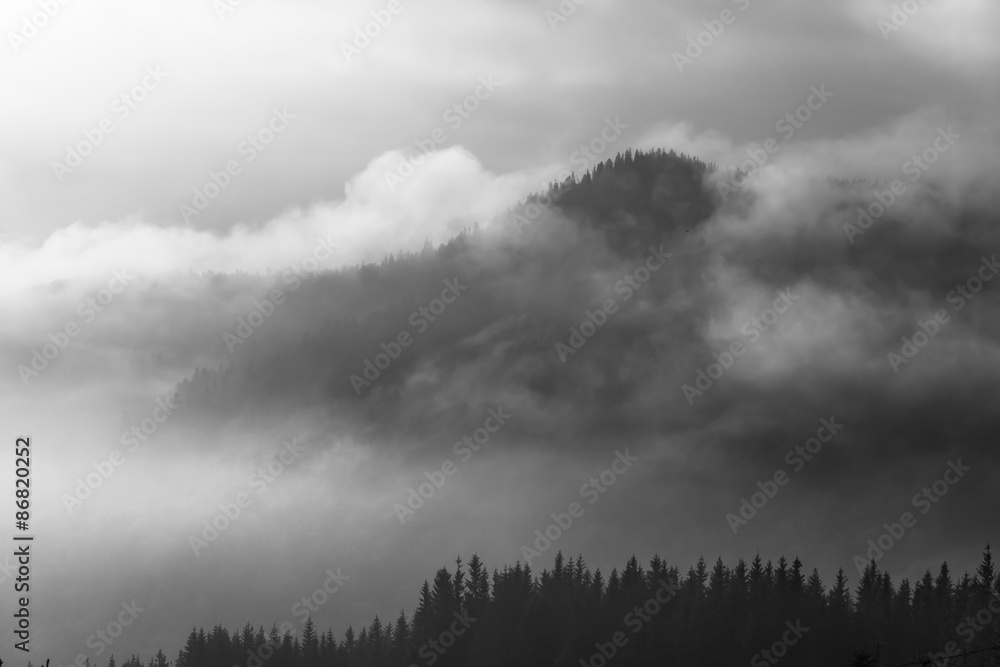 Misty morning in the Carpathians