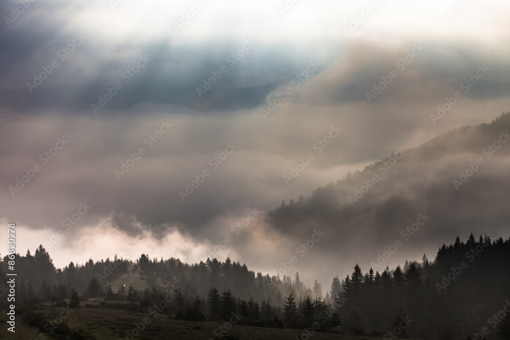 Fototapeta premium Misty morning in the Carpathians