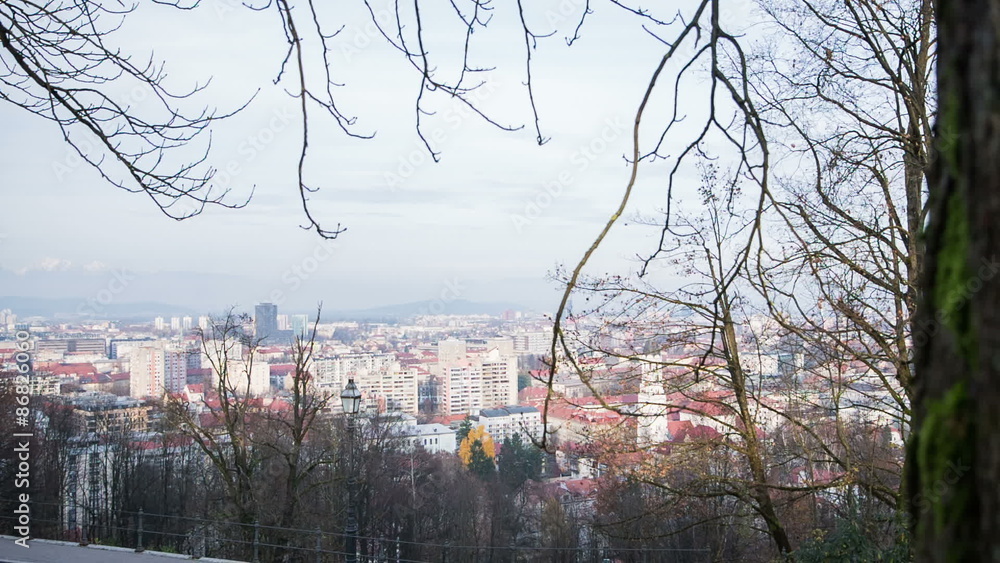custom made wallpaper toronto digitalView of Ljubljana city from behind a tree