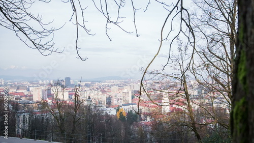 Wallpaper Mural View of Ljubljana city from behind a tree Torontodigital.ca