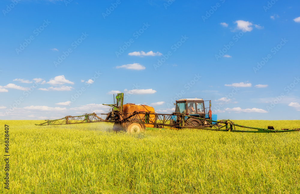 Farming tractor spraying green field