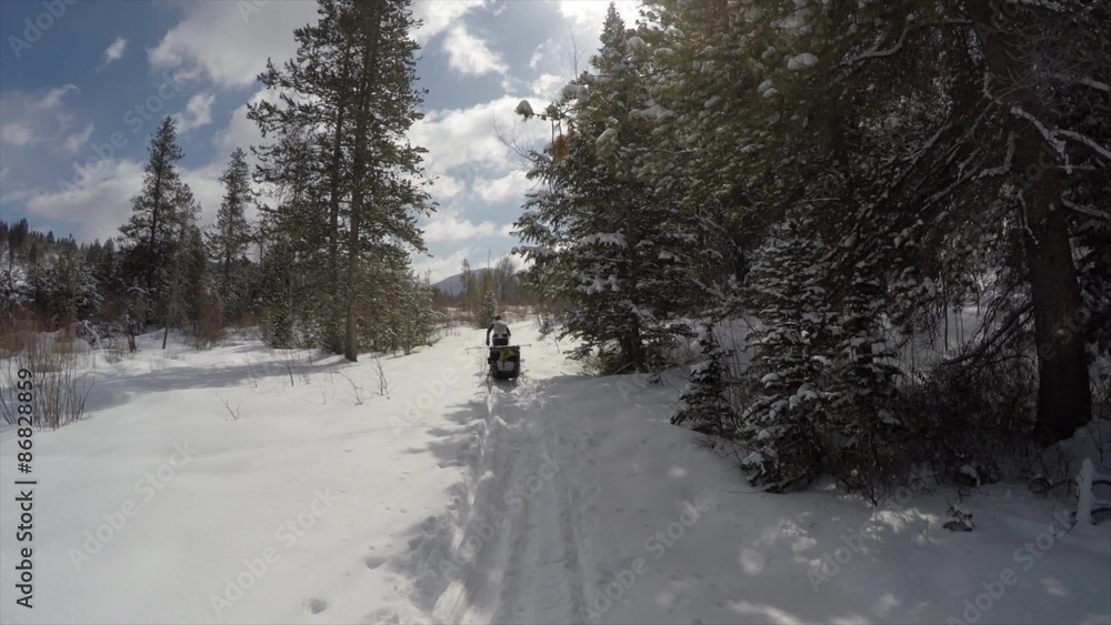 Person pulling kids in trailer while cross country skiing Person pulling kids in trailer while cross country skiing