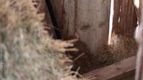 Wallpaper Mural Cowboy places a rifle against barn wall Torontodigital.ca